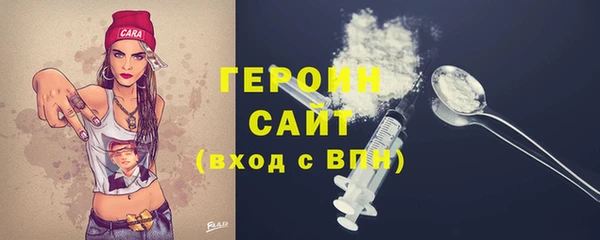 гашик Алексин