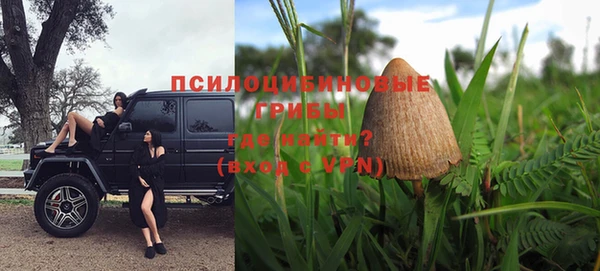 твердый Алзамай