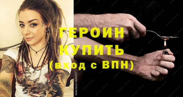 гашик Алексин