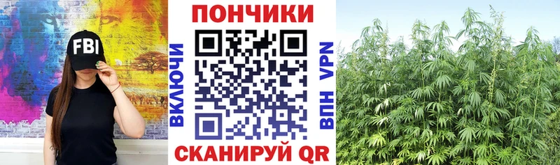 Каннабис Ganja  Новое Девяткино 